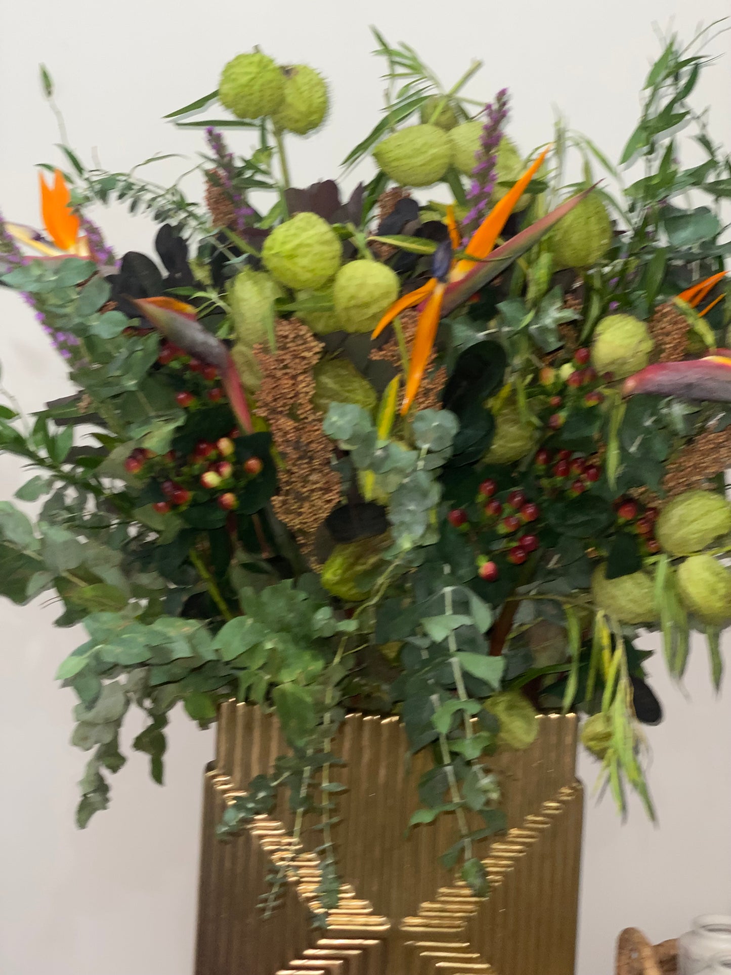 Bird of Paradise Garden