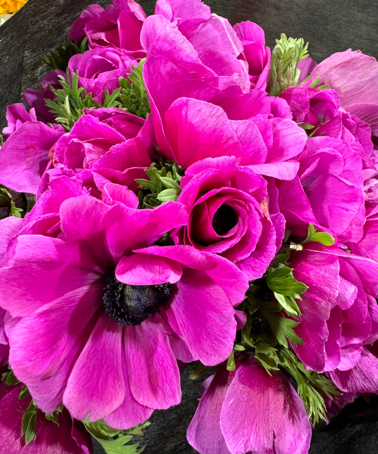 Anemone Bouquet