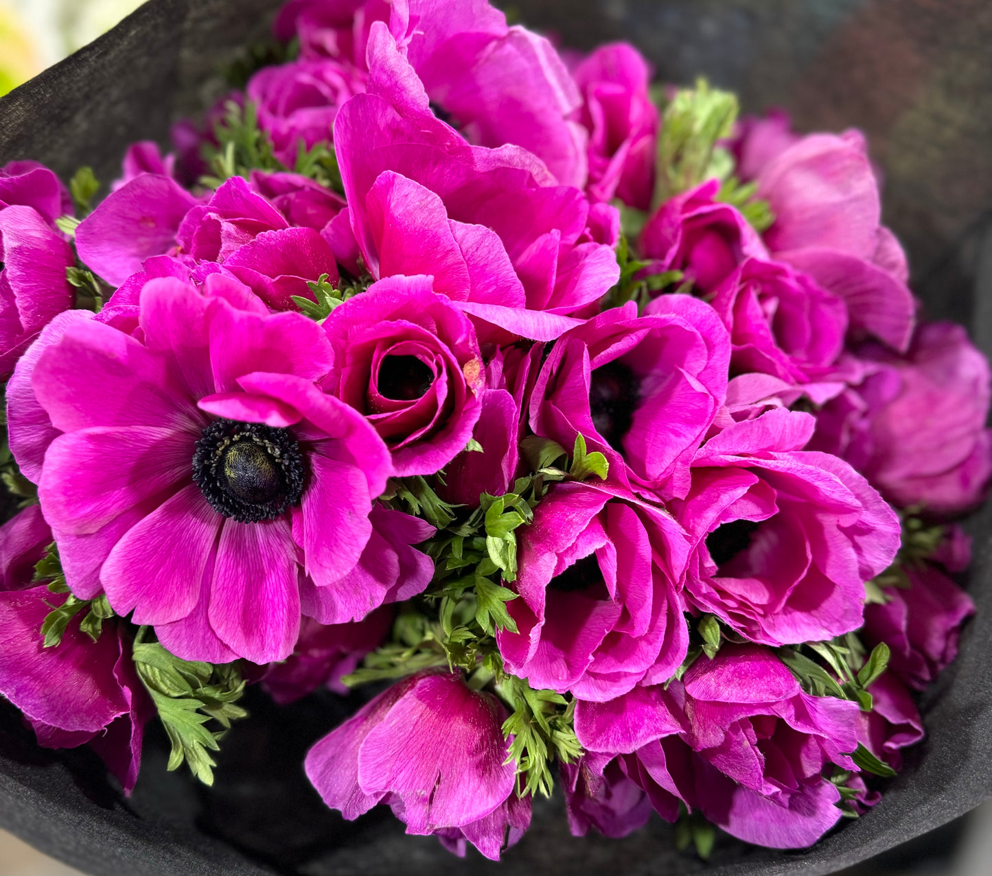 Anemone Bouquet