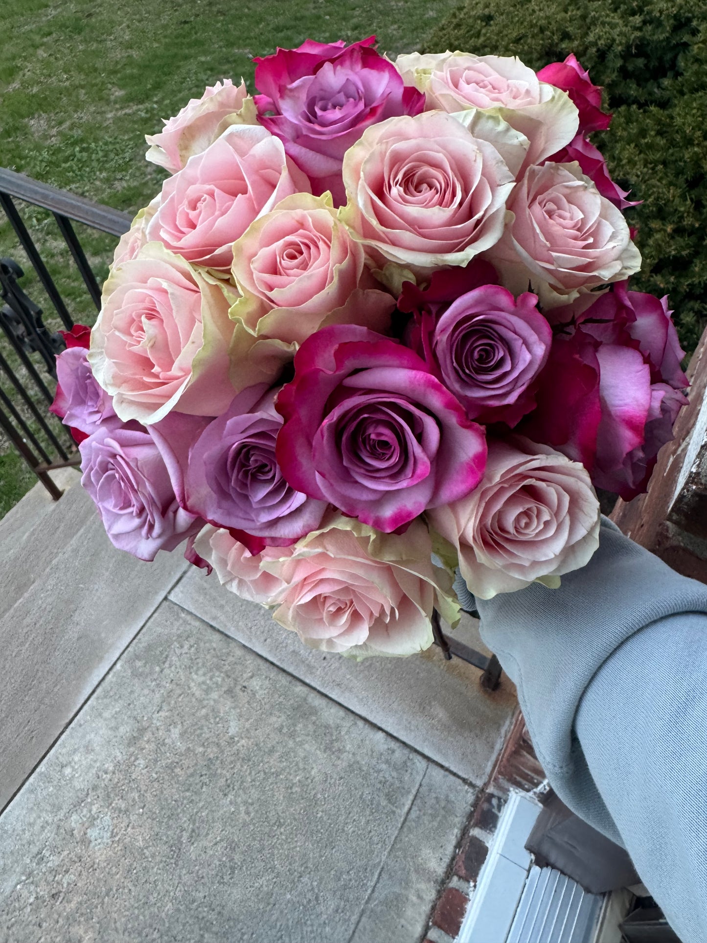 Rosa