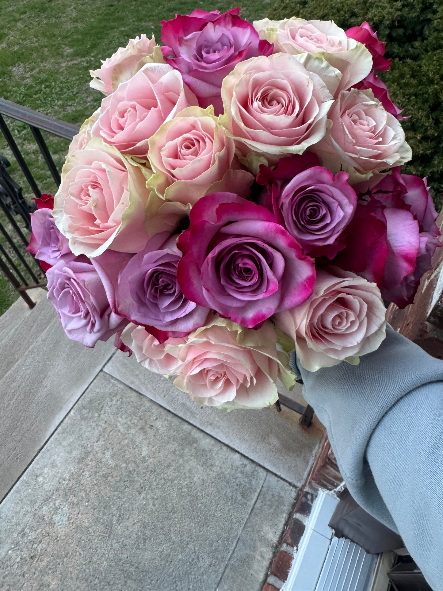 Rosa